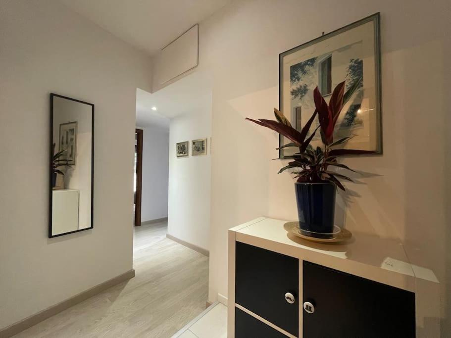 Spacious And Bright Рим Екстер'єр фото